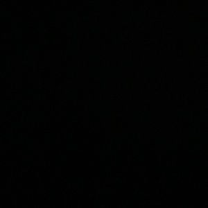 Meet your Posher, Ray